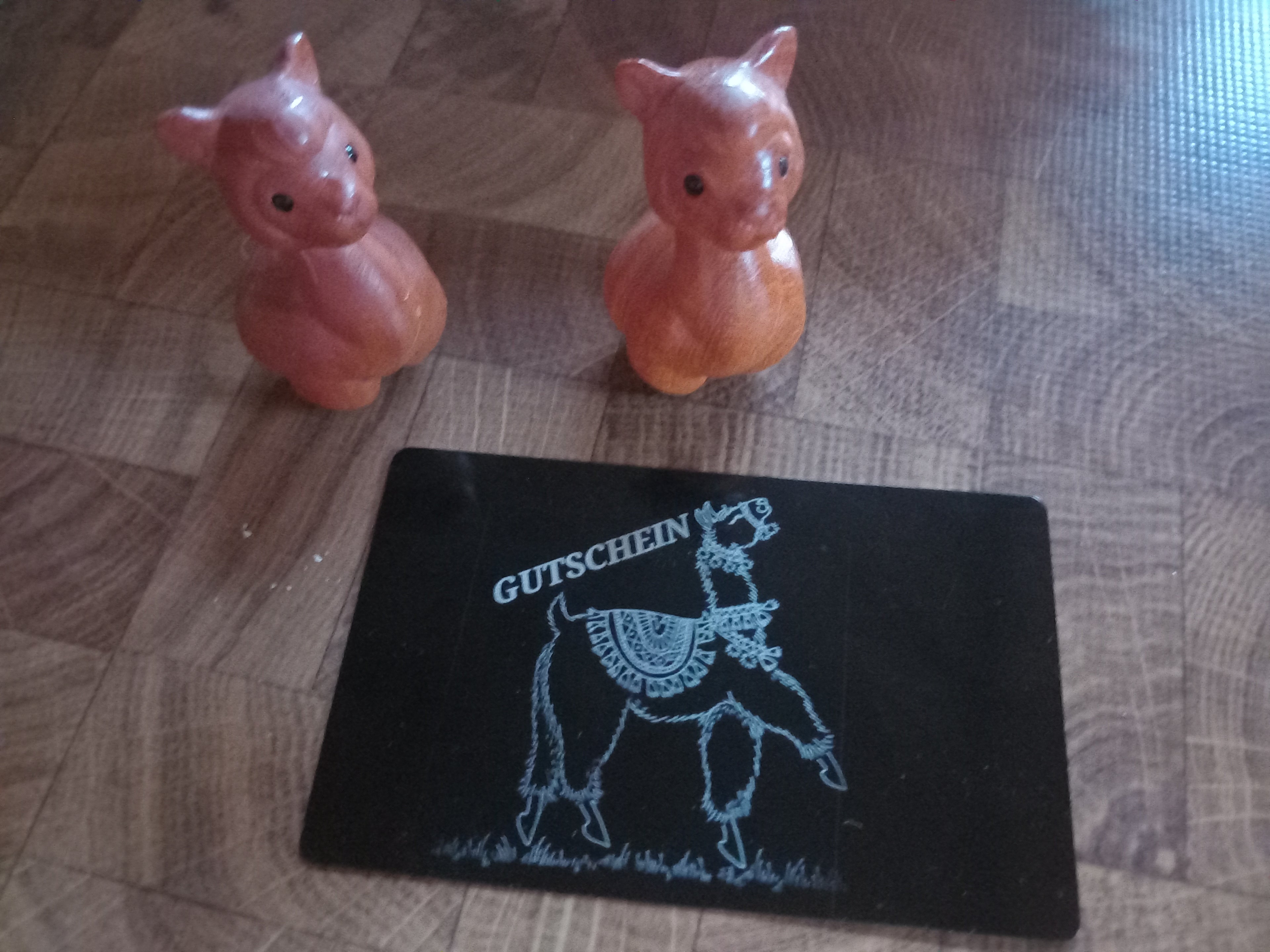 GUTSCHEIN Alpakawanderung 1 Person/ 5 Personen